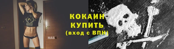 прущие крисы Пестово